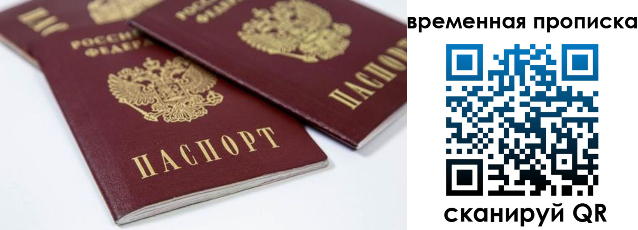 прописка для школы в Волгограде